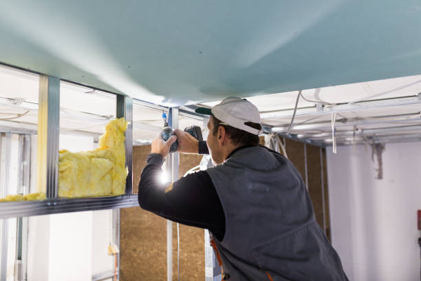 Best Specialized Insulation Services in Ogden, UT