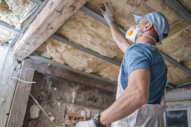 Types of Insulation We Offer in Ogden, UT