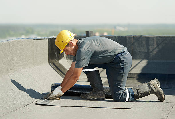 Best Eco-Friendly Insulation in Ogden, UT