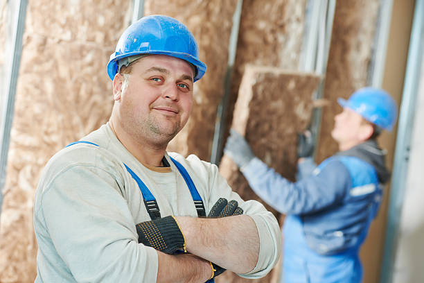 Best Geographic-Specific Insulation Services in Ogden, UT